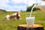 Animal Products – Milk