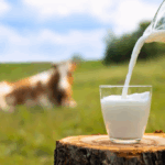 Animal Products – Milk