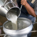 Animal Products – Milk - Image 4